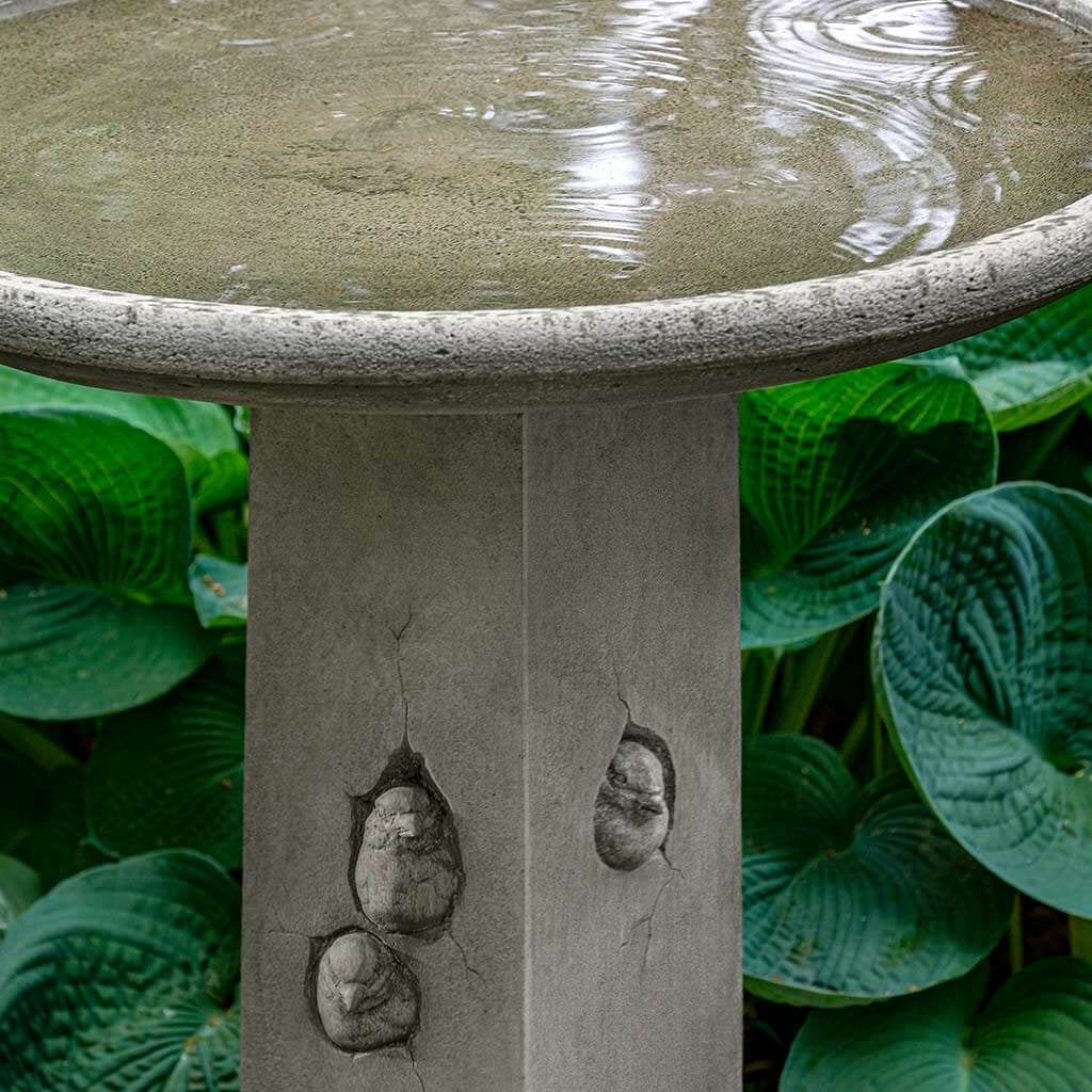 Birdhouse Birdbath