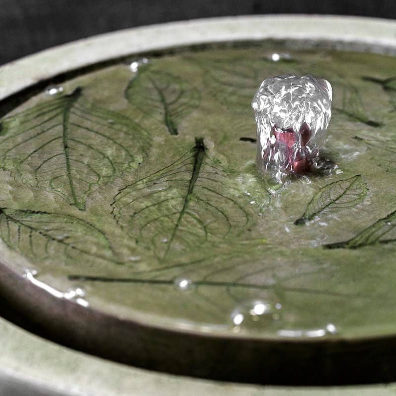Hydrangea Leaves Garden Terrace Fountain