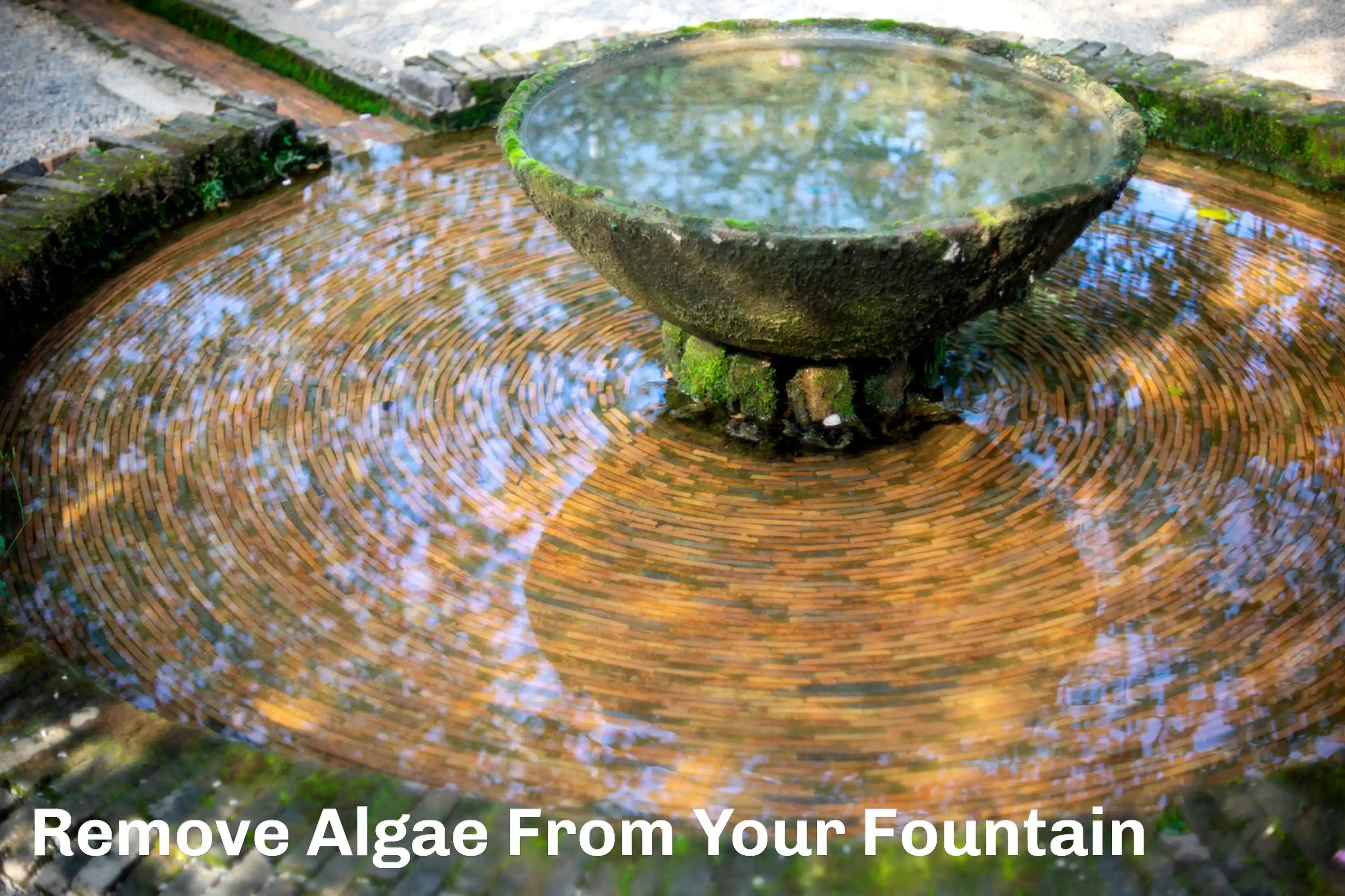 Remove Algae and Keep Your Fountain's Water Clean
