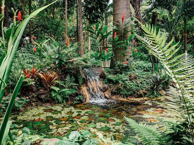 waterfalls in a pond