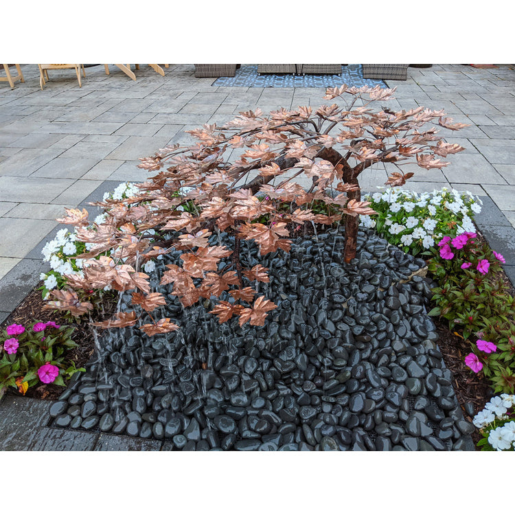 Blue Thumb Creeping Japanese Maple Fountain Kit - Thumbnail 5