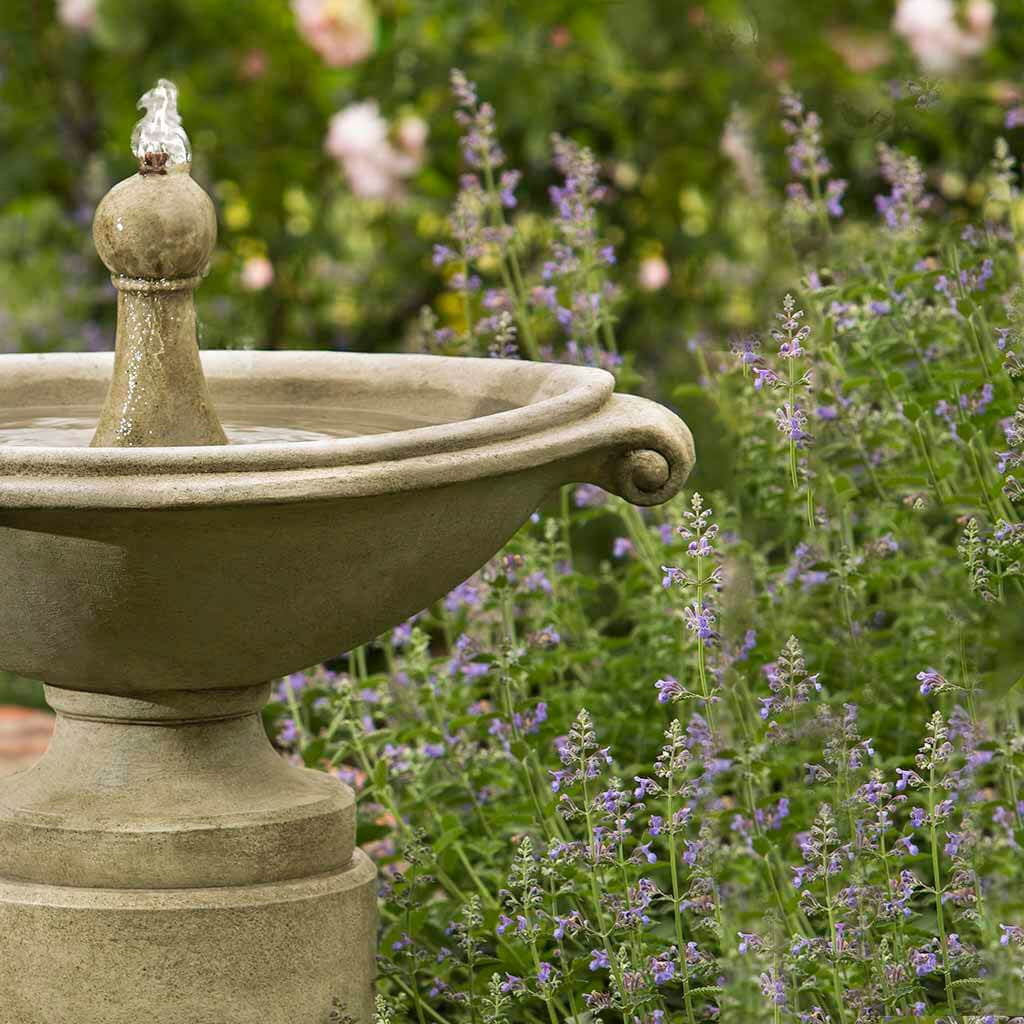 Borghese Garden Water Fountain