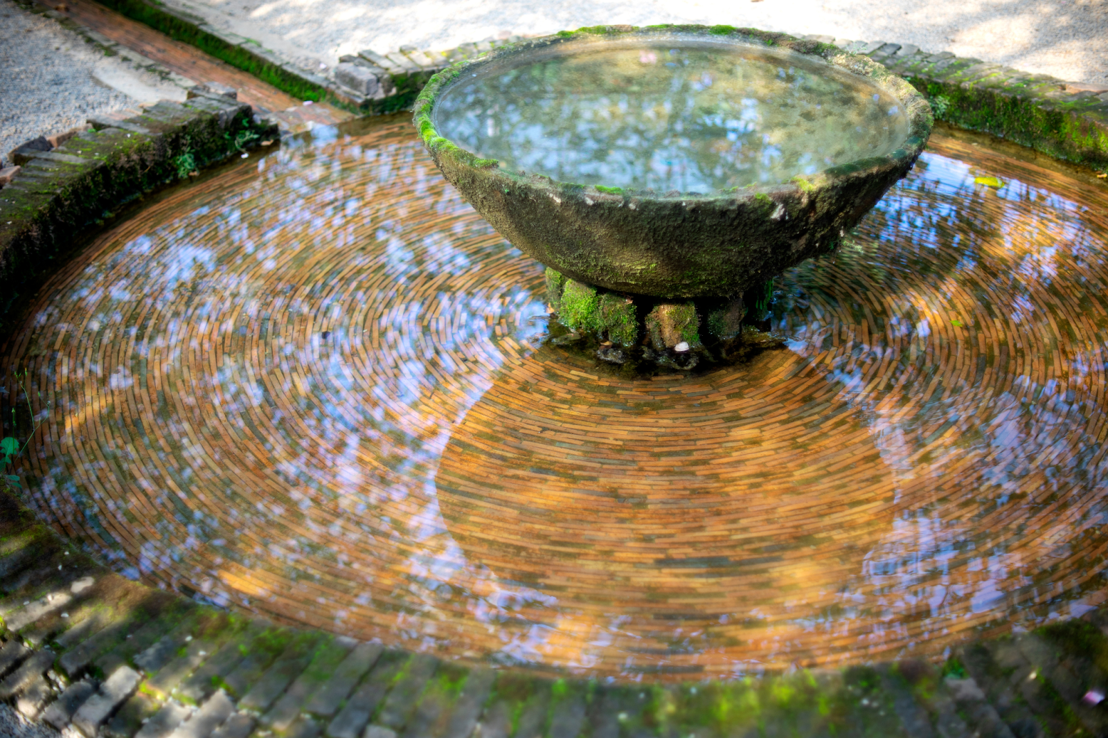 Outdoor Fountain with Algae
