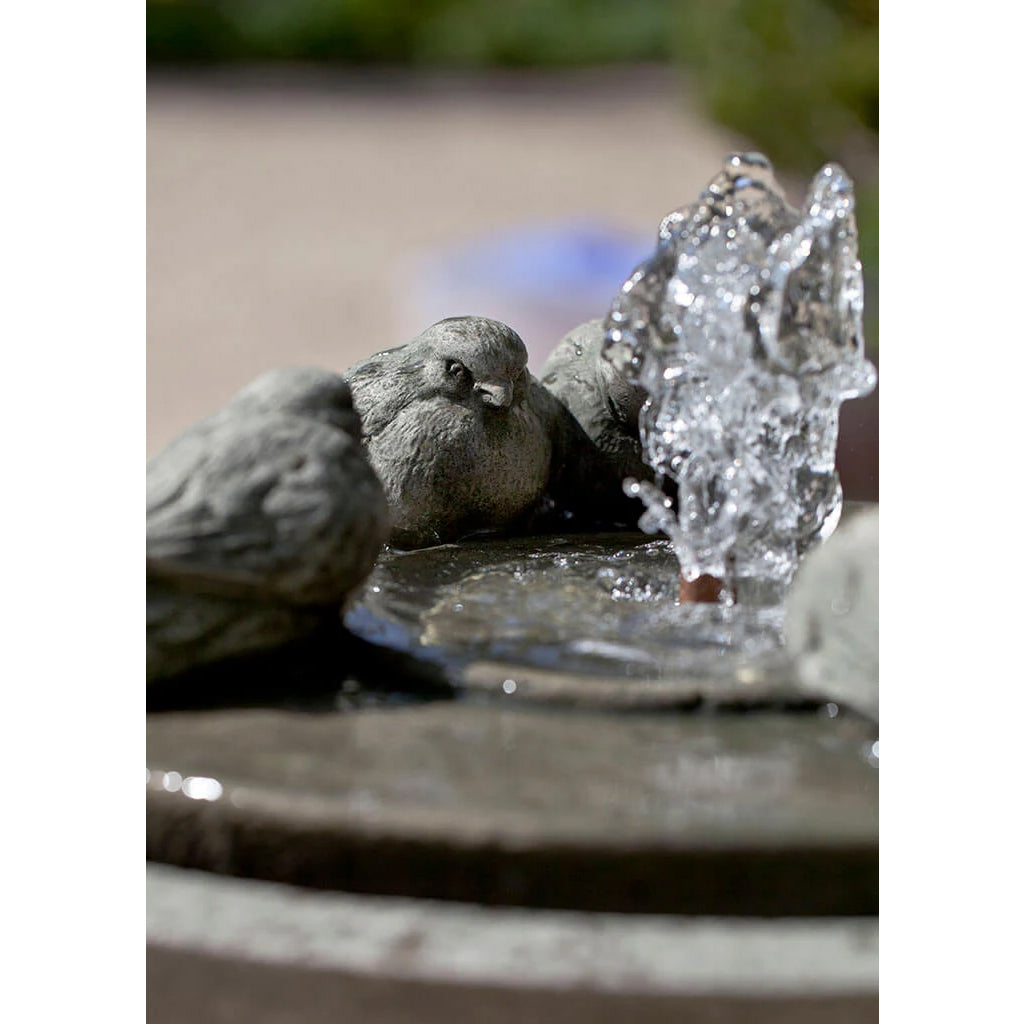 Passaros II Birds Water Fountain