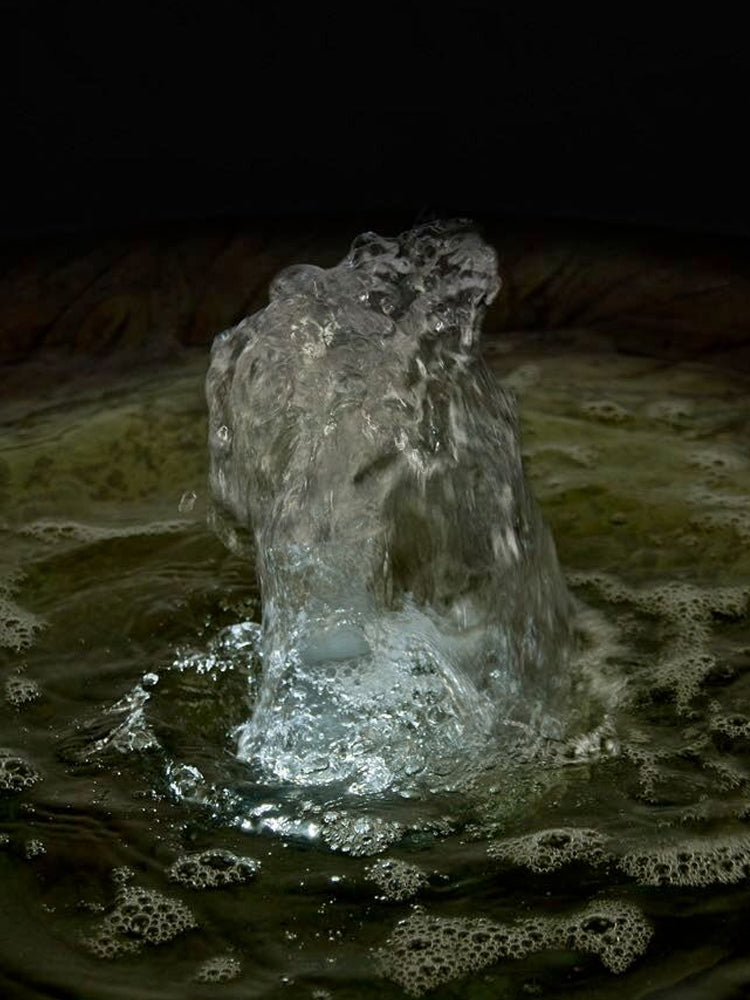 Leaf Motif Fountain
