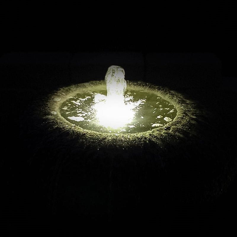 Low Organic Bowl Fountain